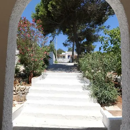 Sonia Corsano (Apulia)
